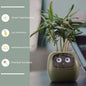 AI SMART PLANTER