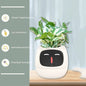 AI SMART PLANTER