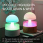 Rain Cloud Humidifier Aromatherapy Machine Air Humidifier Ultrasonic Aroma Diffuser