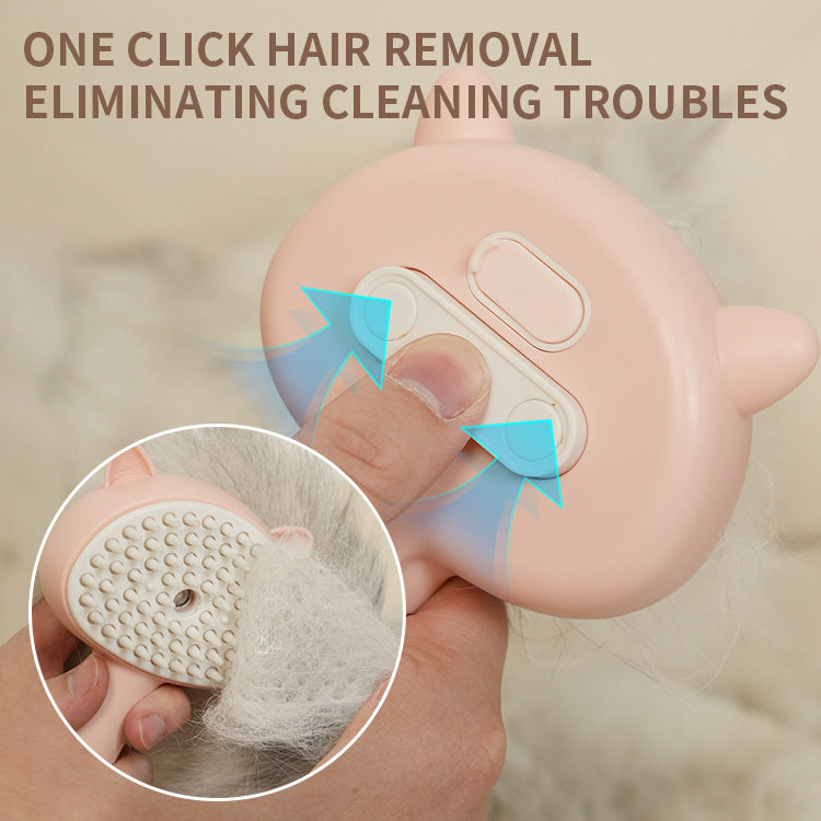 Hair Cleaning Brush with Mist Multifunctional Cat