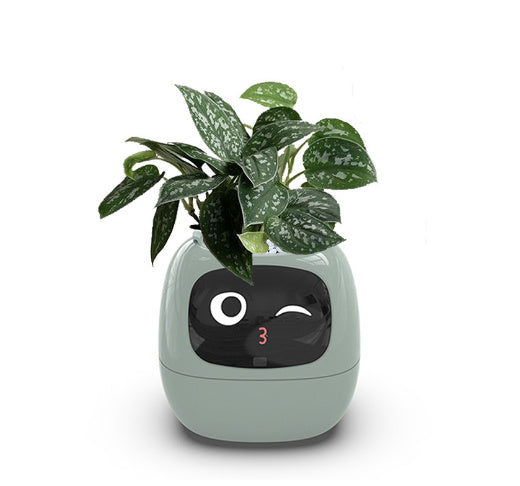 AI SMART PLANTER